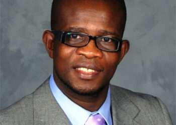 E-Levy Is Anti-Business, Anti-Financial Inclusion, And Above All Irrational - Dr. Kpessa Whyte