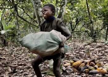 Nestle to Pay Cocoa Farmers to Stop Child Labour, Ghanaian Farmers to Benefit 2 Cocoa Farmers Threaten to Sue Al Jazeera, Denies Using Child Labour