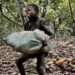 Cocoa Farmers Threaten to Sue Al Jazeera, Denies Using Child Labour