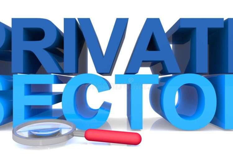 Restricted Access To External Markets Could Crowd Out Private Sector