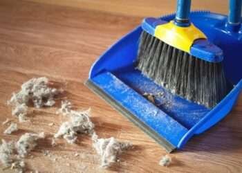 House Dust in Ghanaian Households Contain High Concentrations of Lead, Research Shows 3 Lead