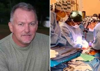 Surgeons Successfully Perform Pig-to-Human Kidney Transplant 1 Surgeons Successfully Perform Pig-to-Human Kidney Transplant