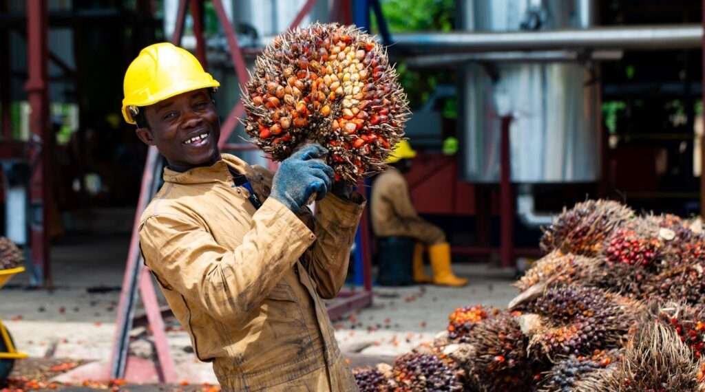 The Oil Palm Development Association of Ghana (OPDAG), has called on government to immediately reconsider its decision on the indefinite suspension of the implementation of the review of the 50% benchmark policy reduction.