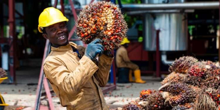 Oil Palm Development Association Urges Gov’t to Reverse Benchmark Value Policy 1 The Oil Palm Development Association of Ghana (OPDAG), has called on government to immediately reconsider its decision on the indefinite suspension of the implementation of the review of the 50% benchmark policy reduction.
