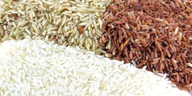 Chief Executive Officer of Chamber of Agribusiness, Ghana, Anthony Morrison, has urged government to purchase all paddy rice in the system to avert rice glut in the country.