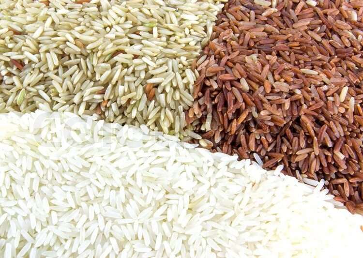 Chamber of Agribusiness Urges Gov’t To Buy All Paddy Rice In The System 1 Chief Executive Officer of Chamber of Agribusiness, Ghana, Anthony Morrison, has urged government to purchase all paddy rice in the system to avert rice glut in the country.