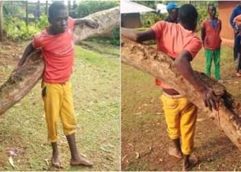 Stop Comparing me to Jesus- Traumatized Teenager who was Nailed to a Tree Cries out