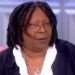 Whoopi Goldberg Backlashed For Saying Holocaust ‘isn’t about race’