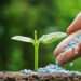 IFDC Expresses Commitment to Make Fertilizer Cheap in Ghana