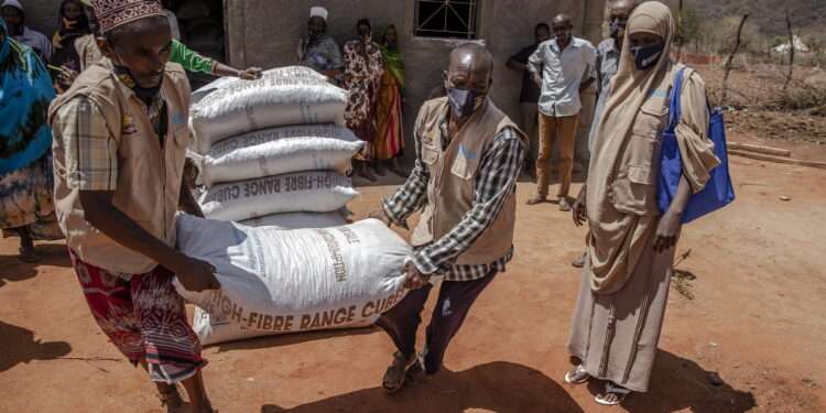 FAO Welcomes €20 Million Contribution From Germany To Avert Hunger Crisis In The Horn Of Africa