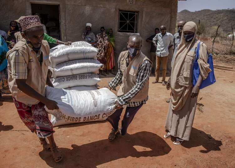 FAO Welcomes €20 Million Contribution From Germany To Avert Hunger Crisis In The Horn Of Africa 1 FAO Welcomes €20 Million Contribution From Germany To Avert Hunger Crisis In The Horn Of Africa