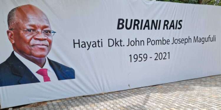 President of African Development Bank Group Pays Homage To Late Magufuli