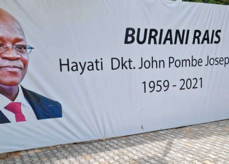 President of African Development Bank Group Pays Homage To Late Magufuli 1 President of African Development Bank Group Pays Homage To Late Magufuli