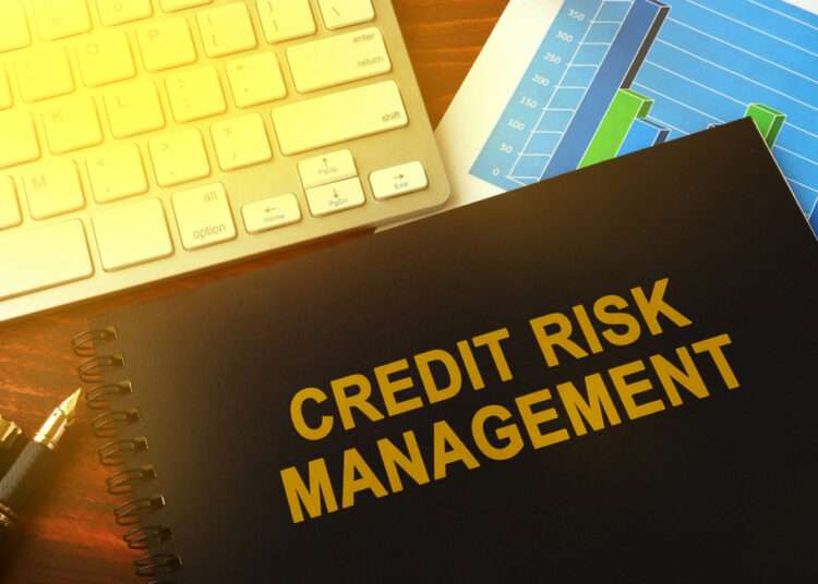 Ghanaian Banks More Exposed To Credit Risk In 2021 - BoG 1 Ghanaian Banks Were More Exposed To Credit Risk In 2021 - BoG