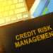 Ghanaian Banks Were More Exposed To Credit Risk In 2021 - BoG