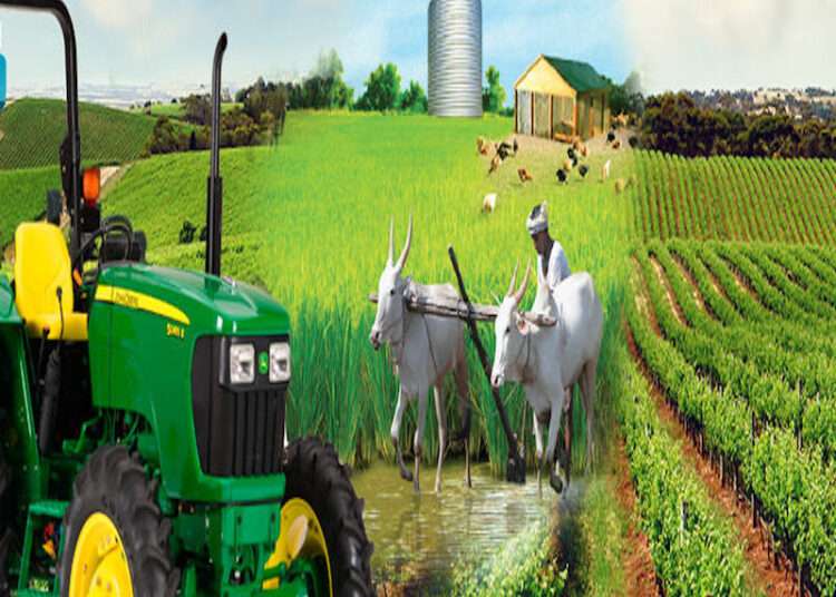 13549dc8 agricultural