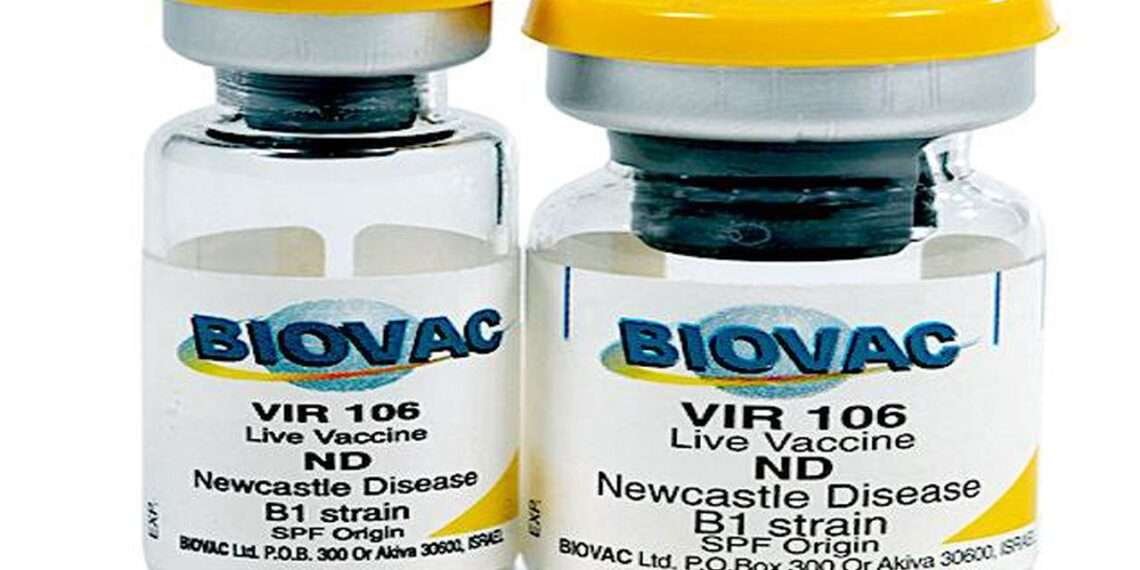 Biovac Collaborates With Development Partners to Support South Africa’s Vaccine Manufacturing Expansion