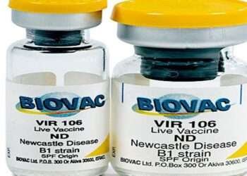 Biovac Collaborates With Development Partners to Support South Africa’s Vaccine Manufacturing Expansion 2 Biovac Collaborates With Development Partners to Support South Africa’s Vaccine Manufacturing Expansion