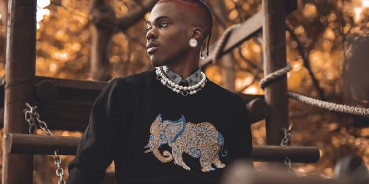 CKay has made the Number 1 spot on the new Billboard US Afrobeats Songs chart, which was created just last week.