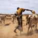 East Africa: IRC Provides $5 Million Humanitarian Assistance For People Facing Hunger
