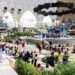 Dubai Expo celebration