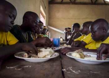 Some Ghanaian Households Still Food Insecure - Report