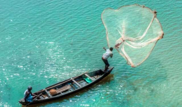 Fisheries 640x514 1