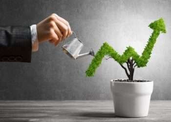 More Investment Needed to Plug Infrastructure Gap- NEPAD-IPPF 3 Growing Graph Plant 780x438 1