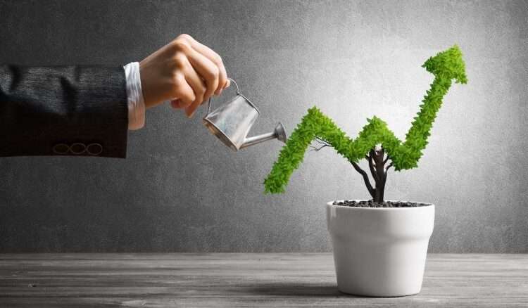 More Investment Needed to Plug Infrastructure Gap- NEPAD-IPPF 1 Growing Graph Plant 780x438 1