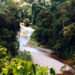 Forest Clearance Deepens Tropical Carbon Loss, Study Reveals 12 Tropical Rain forest