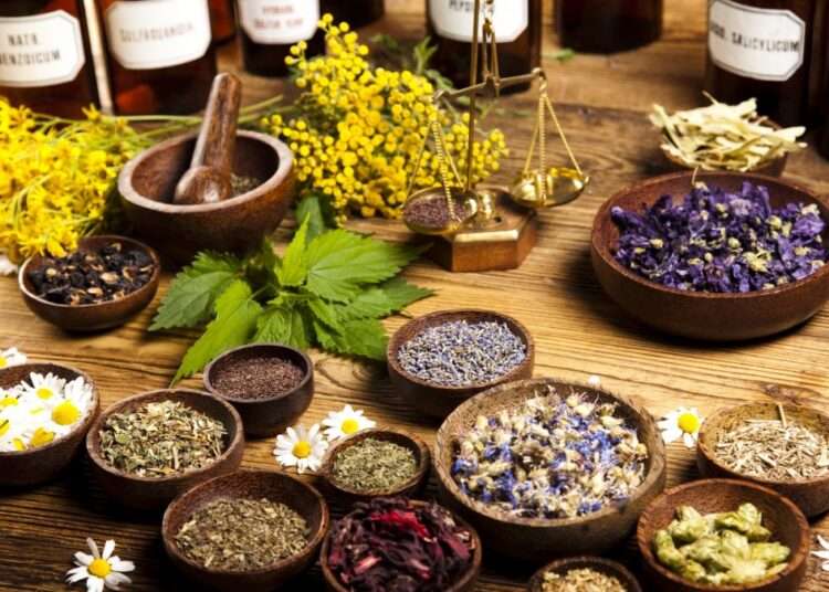 WHO To Establish Global Centre For Traditional Medicine In India 1 WHO To Establish Global Centre For Traditional Medicine In India