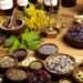 WHO To Establish Global Centre For Traditional Medicine In India