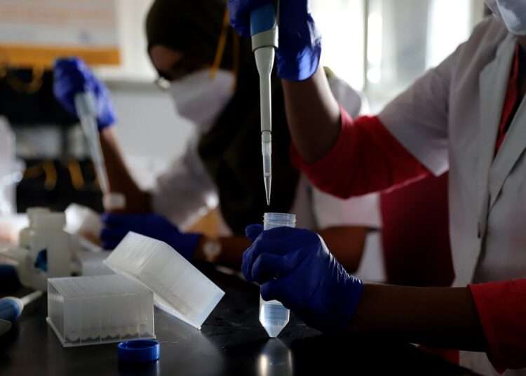 World TB Day: WHO Calls For Increased Investments Into TB Services And Research 1 World TB Day: WHO Calls For Increased Investments Into TB Services And Research