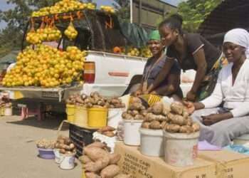 Women-Owned Businesses Faring Better Than Expected, New AfDB Study 5 Women-Owned Businesses Faring Better Than Expected, New AfDB Study Shows
