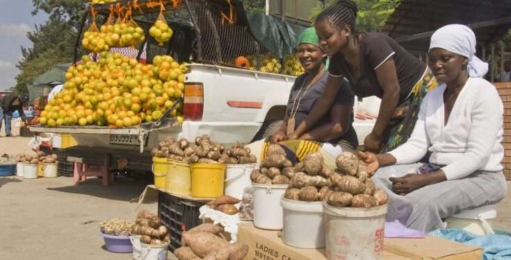 Women-Owned Businesses Faring Better Than Expected, New AfDB Study 1 Women-Owned Businesses Faring Better Than Expected, New AfDB Study Shows