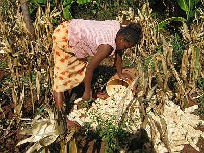 agric woman
