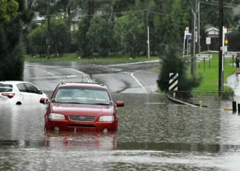 The scale of the damage to property and wildlife in Australia
