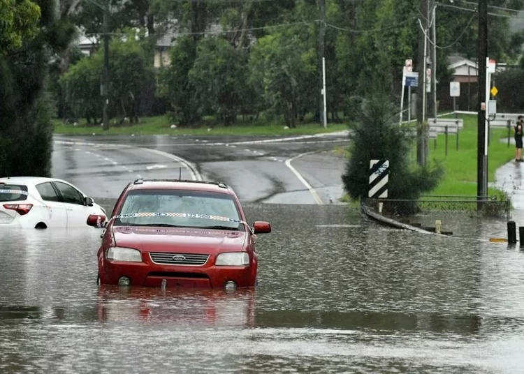 Australia Flood: Death Toll Rises to 20 as Thousands Evacuate Sydney 1 The scale of the damage to property and wildlife in Australia