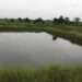 1V1D, An Alternative to Ghana’s Rain-fed Agriculture- PFAG 13 download Copy