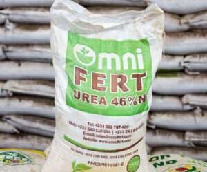 Support Domestic Fertilizer Producers- Chamber Of Agribusiness Ghana To Gov’t 1 factory 27 Urea2 300x300 1