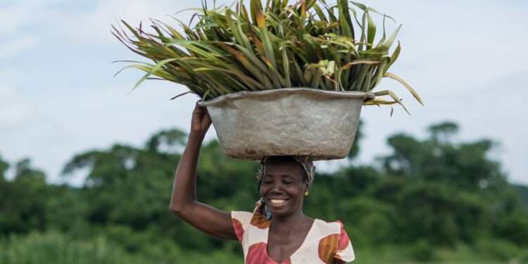 ghana farming header