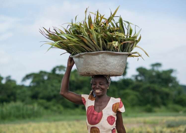 ghana farming header