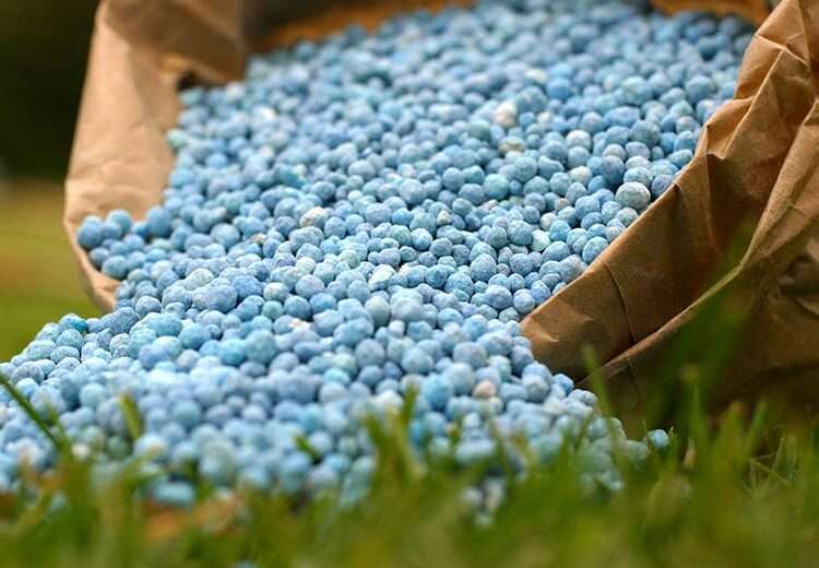 Rethinking Synthetic Fertilizers: The Duel for Substitutes Is On 1 hero agri fertilizers