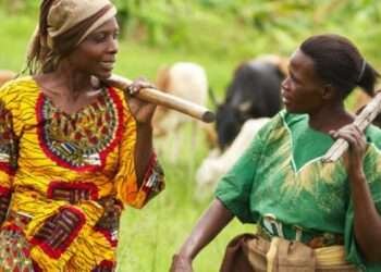 Russia-Ukraine Crisis To Worsen Ghana’s Agriculture Sector 1 Russia-Ukraine Crisis To Worsen Ghana’s Agriculture Sector