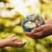 Intensive-Input Crop Monocultures Destroy Mother Earth, AFSA warns 11 Protecting Mother Earth for an easy transitioning