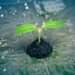 Investment Funds Can Drive Green Transition- IMF 11 Investment funds can drive green transition