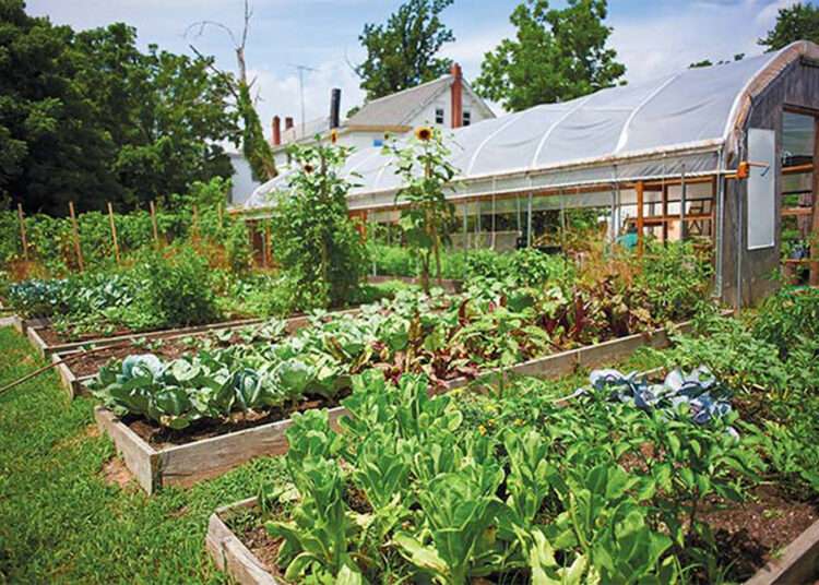 Regenerative agriculture