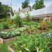 Regenerative agriculture