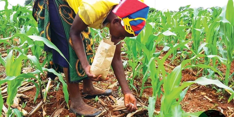 Agric Minister Announces Nationwide Fertiliser Distribution