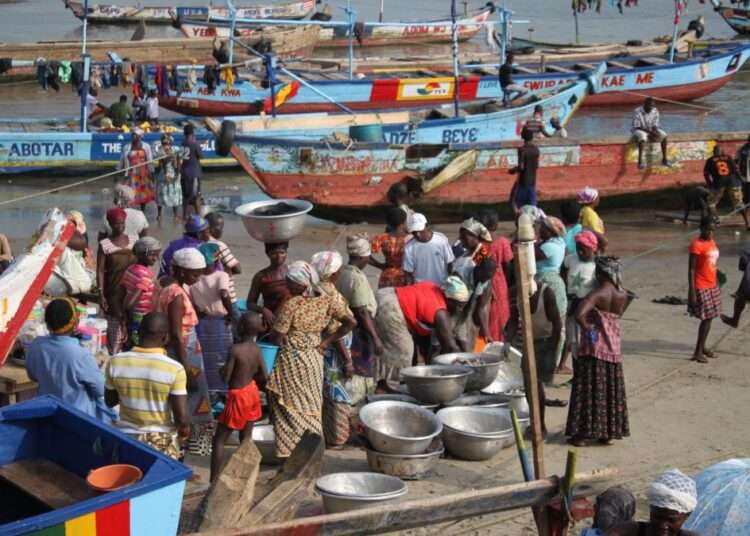 Fishing activities ongoing at the shore